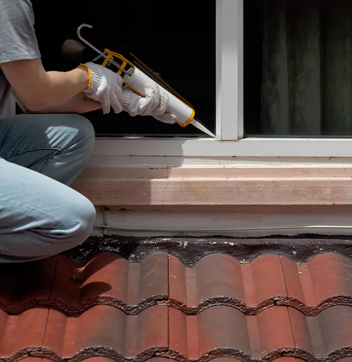 Roof Window Services in San Mateo, California