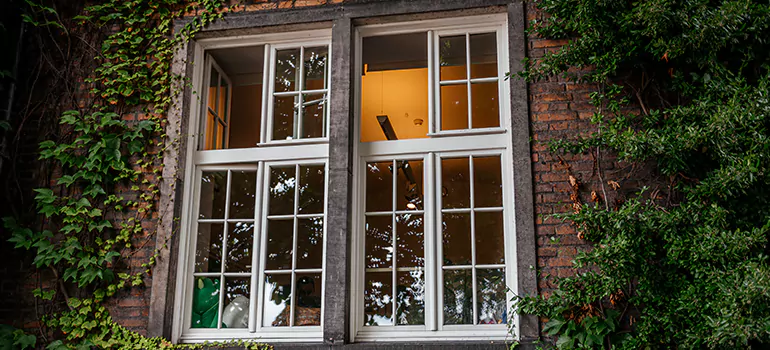 Energy Efficient Wood Windows in San Mateo, CA