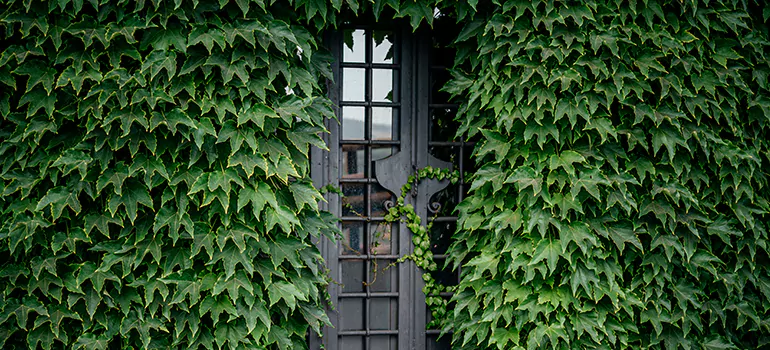 Garden Gate Repair in San Mateo, CA