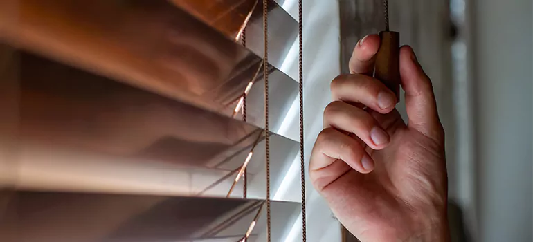 Double Roller Blinds in San Mateo, CA
