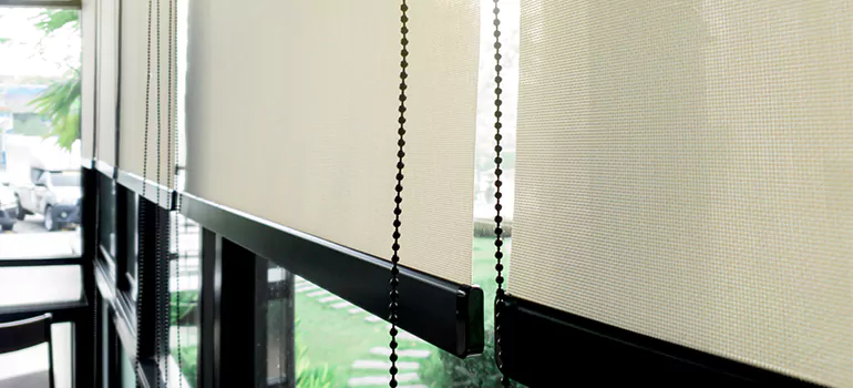 Blackout Window Shades in San Mateo, CA