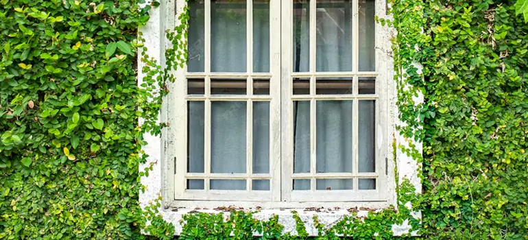 Garden Window Repair Near Me in San Mateo, CA
