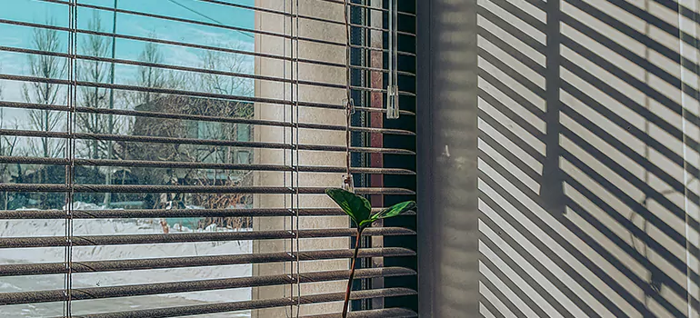 Commercial Window Blinds in San Mateo, CA