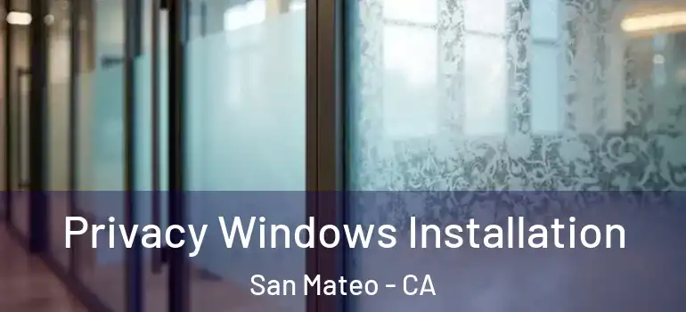  Privacy Windows Installation San Mateo - CA