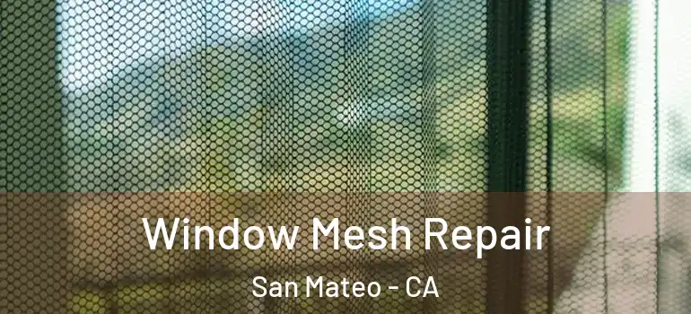 Window Mesh Repair San Mateo - CA