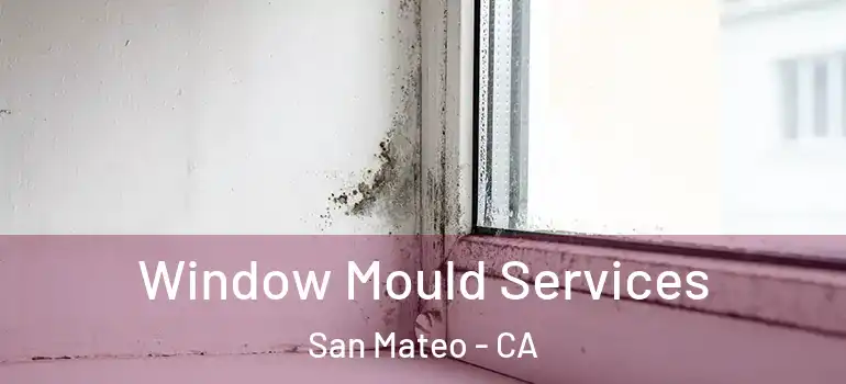  Window Mould Services San Mateo - CA
