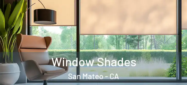  Window Shades San Mateo - CA